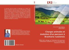 Charges animales et évolution d'un parcours à Brachiaria ruziziensis - Matumuini Ndzani E., Férence;Boukila, Benoit;Pamo T., Etienne