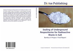 Sealing of Underground Respositories for Radioactive Waste in Salt