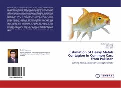 Estimation of Heavy Metals Contagion in Common Carp from Pakistan