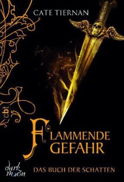 Flammende Gefahr / Das Buch der Schatten Bd.4 - Tiernan, Cate