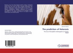 The prediction of Heterosis