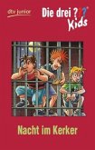 Nacht im Kerker / Die drei Fragezeichen-Kids Bd.33 Nacht im Kerker / Die drei Fragezeichen-Kids Bd.33