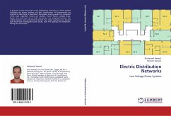 Electric Distribution Networks