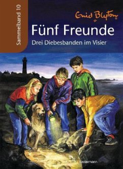 Drei Diebesbanden im Visier / Fünf Freunde Sammelbände Bd.10 - Blyton, Enid