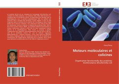 Moteurs moléculaires et colicines - Zhang, Xiang