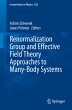 Renormalization Group and Effective... - Bild 1