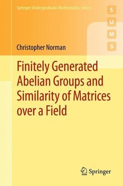 Finitely Generated Abelian Groups and Similarity of Matrices over a Field - Norman, Christopher