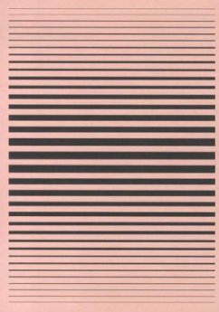 Cover design_z 2011