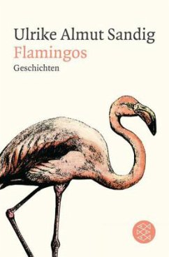 Flamingos - Sandig, Ulrike A.