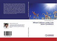 Wheat Cultivars under Late Sown Conditions
