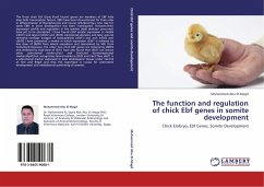 The function and regulation of chick Ebf genes in somite development