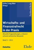 Wirtschafts- und Finanzstrafrecht in der Praxis (f. Österreich)