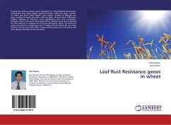 Leaf Rust Resistance genes in wheat