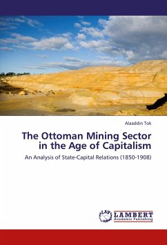 The Ottoman Mining Sector in the Age of Capitalism - Tok, Alaaddin