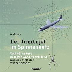 Der Jumbojet im Spinnennetz - Levy, Joel