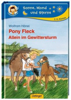 Allein im Gewittersturm / Pony Fleck Bd.4 - Hänel, Wolfram