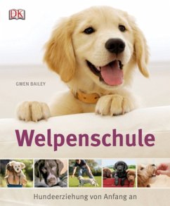 Welpenschule - Bailey, Gwen