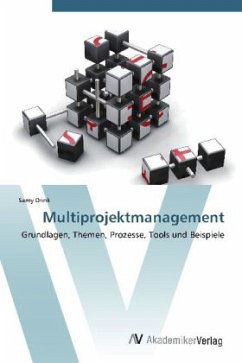 Multiprojektmanagement - Drink, Samy