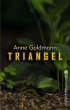 Triangel - Bild 1