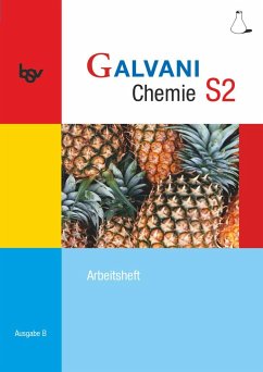 Galvani Chemie S2 S2: 10. Jahrgangsstufe. Arbeitsheft - Orlik, Frank;Kreß, Christine;Pistohl, Birger