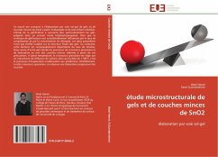 étude microstructurale de gels et de couches minces de SnO2 - Hamd, Wael;Guinebretière, René