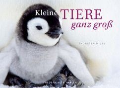 Kleine Tiere ganz groß - Milse, Thorsten