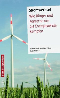 Stromwechsel - Pötter, Bernhard;Koch, Hannes;Unfried, Peter