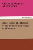 Angel Agnes The Heroine of the Yellow Fever Plague in Shreveport