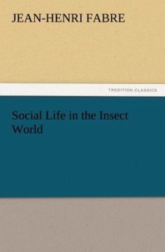 Social Life in the Insect World - Fabre, Jean-Henri