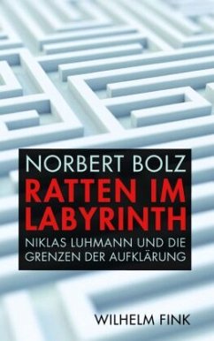 Ratten im Labyrinth - Bolz, Norbert