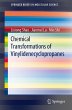 Chemical Transformations of... - Bild 1