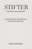 Schriften zur Bildenden Kunst / Werke und Briefe 8,5