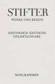 Schriften zur Bildenden Kunst / Werke und Briefe 8,4