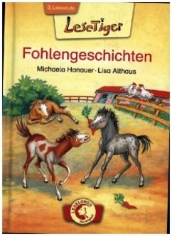 Fohlengeschichten - Hanauer, Michaela