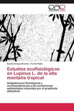 Estudios ecofisiológicos en Lupinus L. de la alta montaña tropical - Briceño, Benito Enrique;Rada, Fermín
