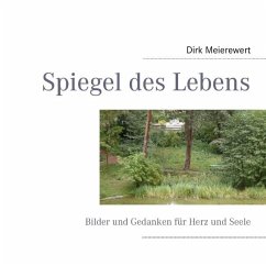 Spiegel des Lebens - Meierewert, Dirk