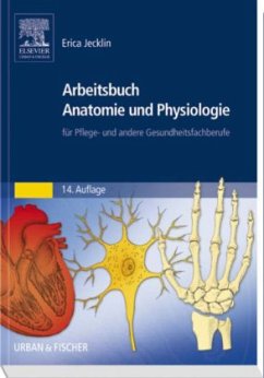 Arbeitsbuch Anatomie und Physiologie für Pflege- und andere Gesundheitsfachberufe - Jecklin, Erica