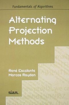 Alternating Projection Methods - Escalante, René; Raydan, Marcos