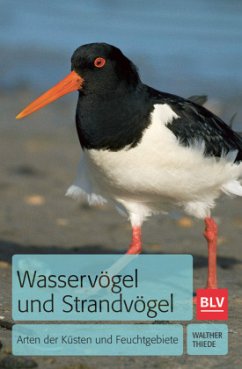 Wasservögel und Strandvögel - Thiede, Walther