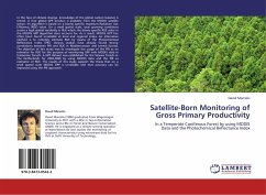 Satellite-Born Monitoring of Gross Primary Productivity