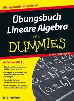 eigen sinn und widerstand kritische beiträge zum kompetenzentwicklungsdiskurs