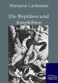 Die Reptilien und Amphibien Deutschlands - Lachmann, Hermann