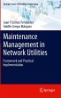 Maintenance Management in Network... - Bild 1