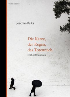 Die Katze, der Regen, das Totenreich - Kalka, Joachim