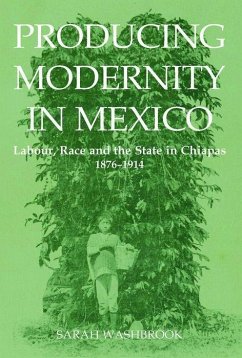 Producing Modernity in Mexico - Washbrook, Sarah