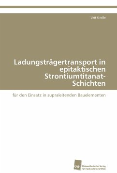 Ladungsträgertransport in epitaktischen Strontiumtitanat-Schichten - Große, Veit