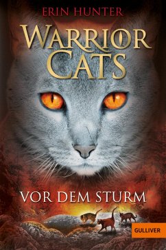 Vor dem Sturm / Warrior Cats Staffel 1 Bd.4 - Hunter, Erin