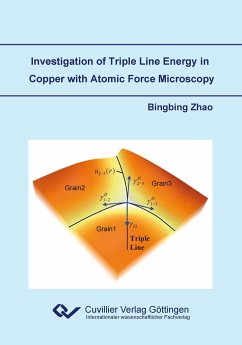 Investigation of Triple Line Energy in Copper with Atomic Force Microscopy - Zhao, Bingbing