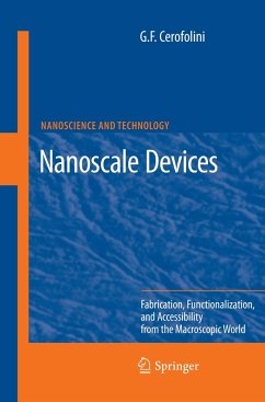 Nanoscale Devices - Cerofolini, Gianfranco