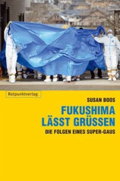 Fukushima lässt grüßen - Boos, Susan